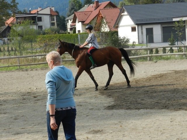 Babie Lato 2016